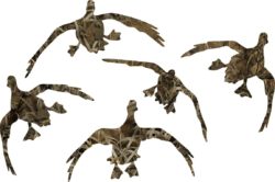 Camo Ducks  Decal 12"
